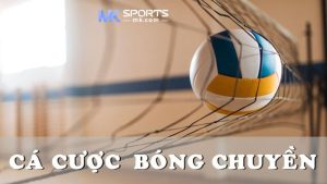 Giới thiệu về bộ môn cá cược bóng chuyền MKSports hấp dẫn