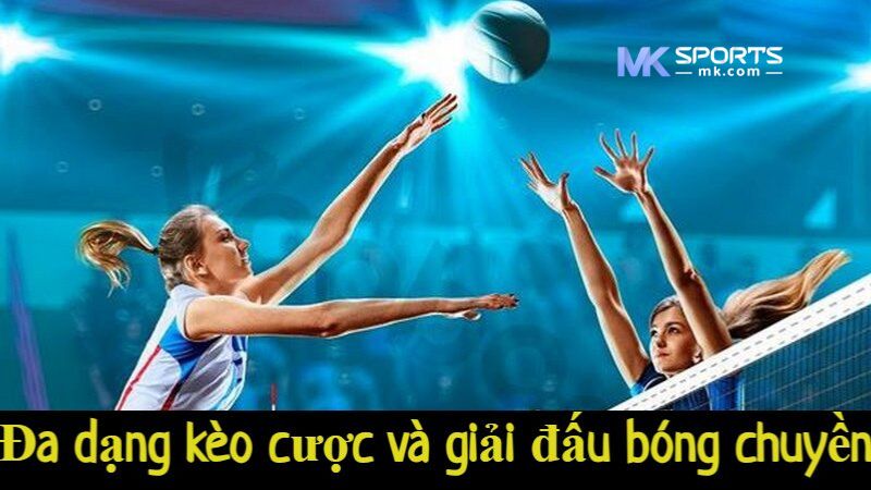 Đa dạng kèo cược và giải đấu bóng chuyền