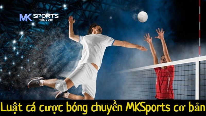 Luật cá cược bóng chuyền MKSports cơ bản