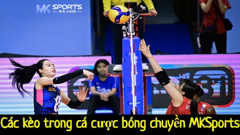 Các kèo trong cá cược bóng chuyền MKSports