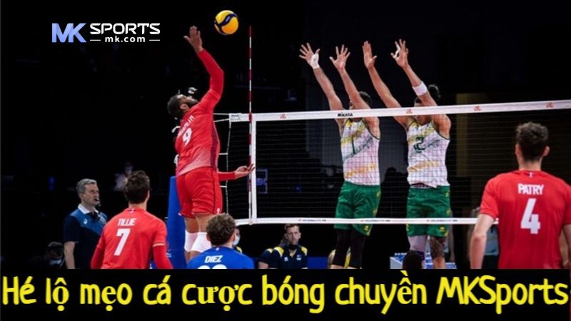 Hé lộ mẹo cá cược bóng chuyền MKSports