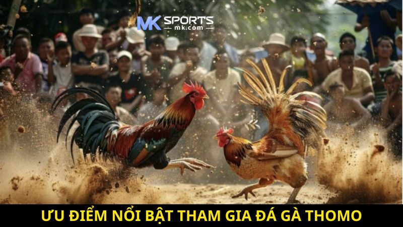 Ưu điểm nổi bật tham gia đá gà Thomo MKSports