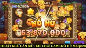 Thuật ngữ cần biết khi chơi game nổ hũ MKSports