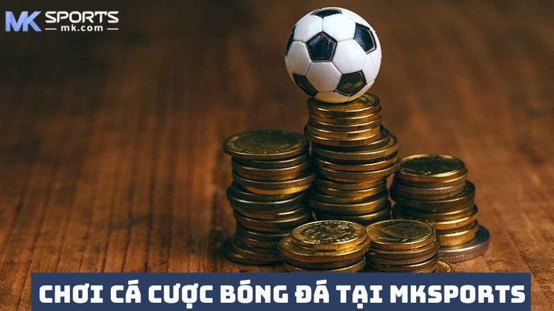 Hòa mình vào thế giới bóng đá và kèo cược đa dạng 