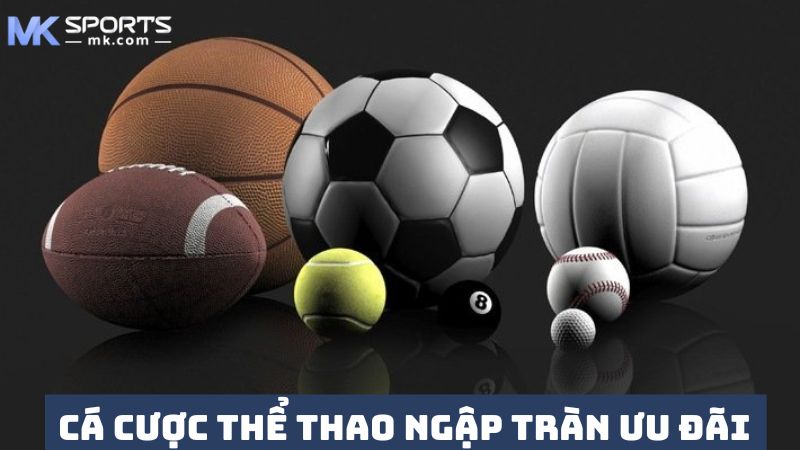 Khuyến mãi thể thao MKSports đầy hấp dẫn 