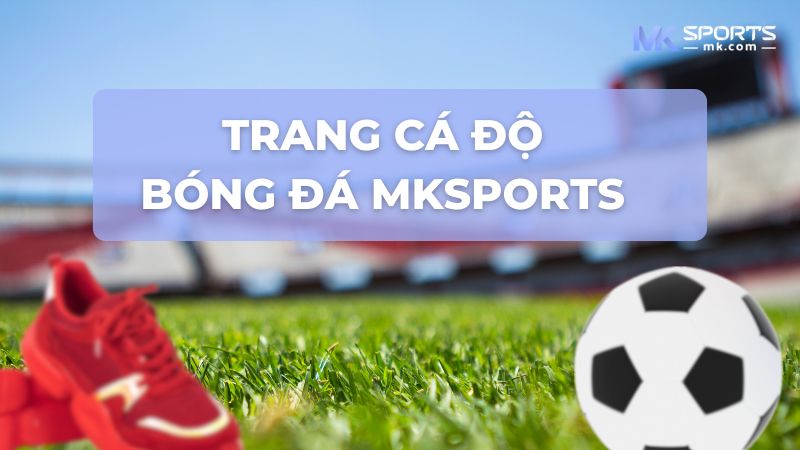 Trang cá độ bóng đá MKSports