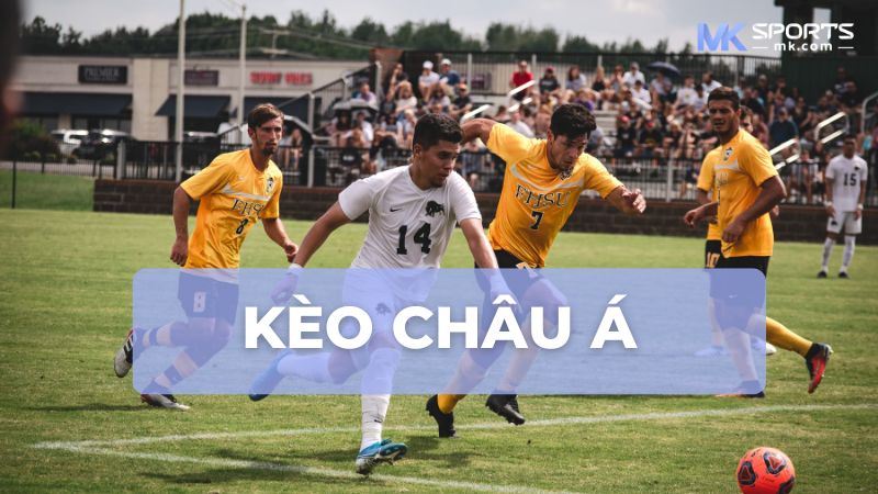 Kèo châu Á tại trang cá độ bóng đá MKSports